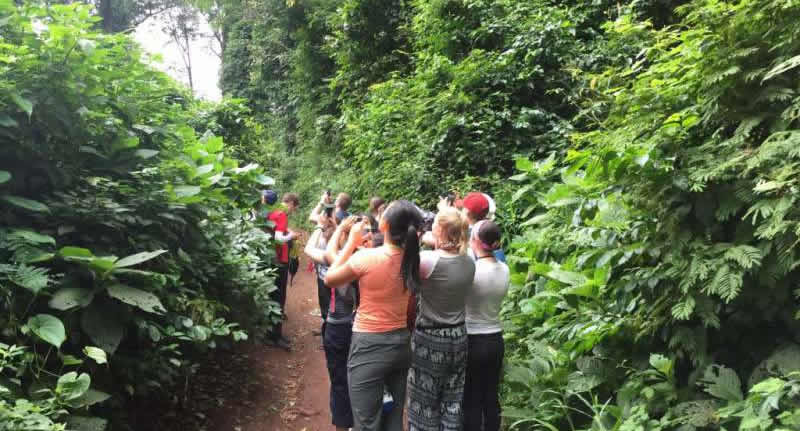 Accepted payment methods